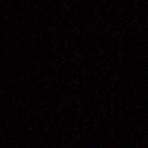 Meet your Posher, Betsy